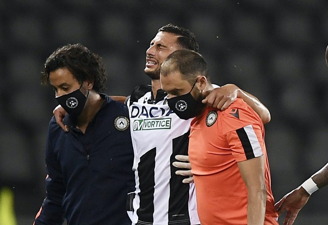 头离群幼崽 头离群幼崽