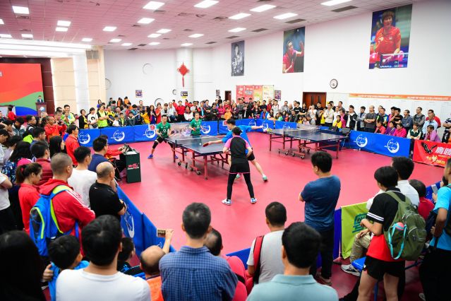 代表性荣誉 代表性荣誉